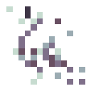 Familiar - Cockatrice Skeleton