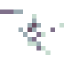 Familiar - Hummingbird Skeleton
