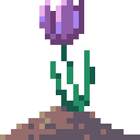 Undesirable - Tulip on grave